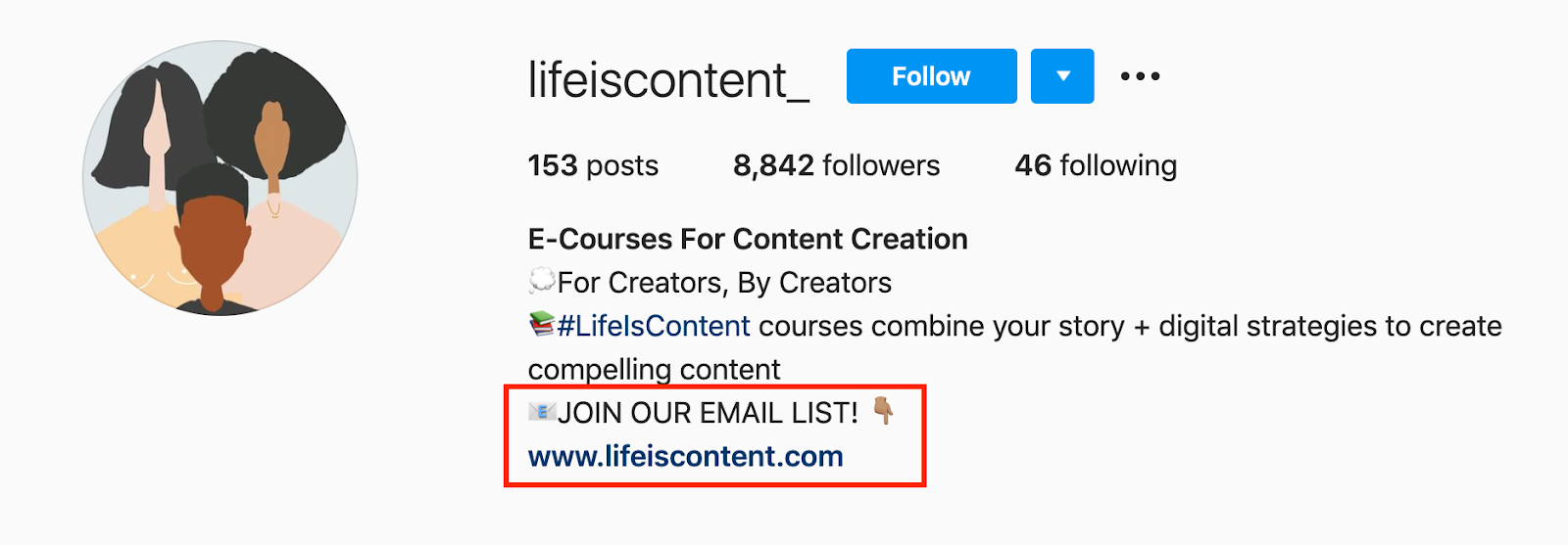 joining email list cta in the instagram bio