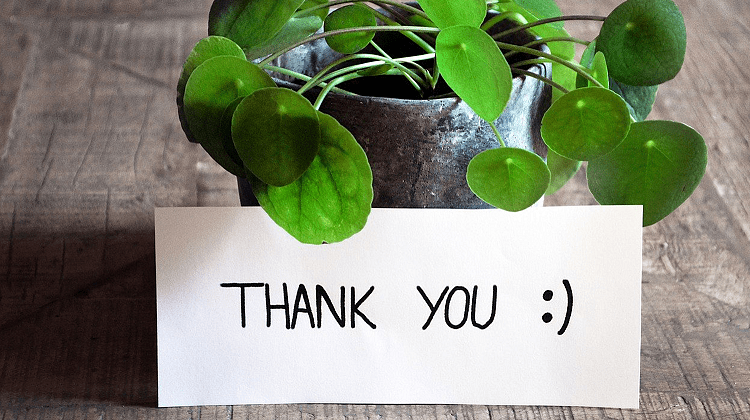 9 Key Elements of a Perfect Thank You Page (With To Increase ROI)