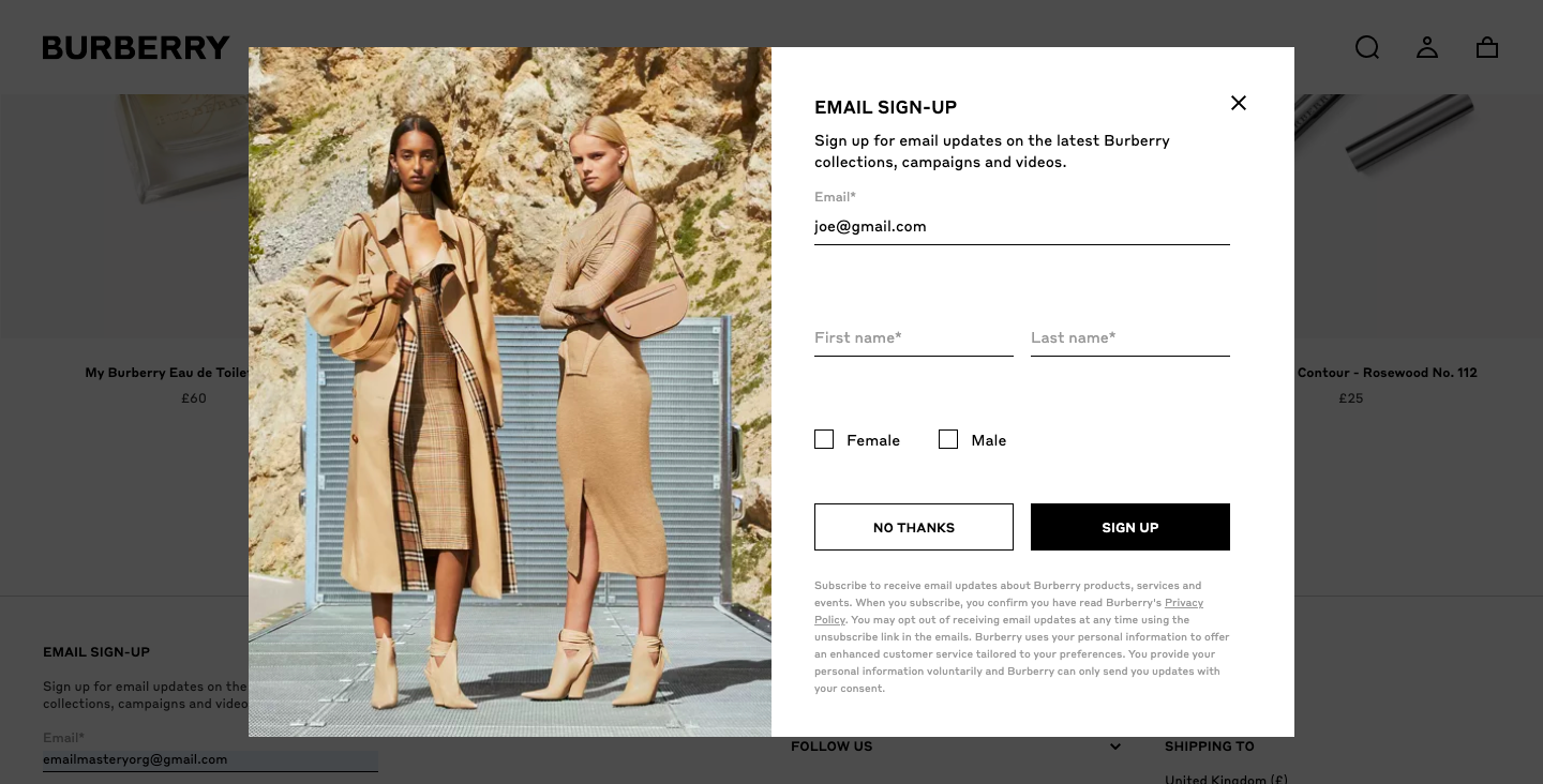 Newsletters From Popular Fashion Brands: Is Luxury Different From the Mass  Market?